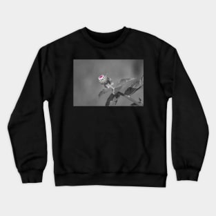 Flower Opening Crewneck Sweatshirt